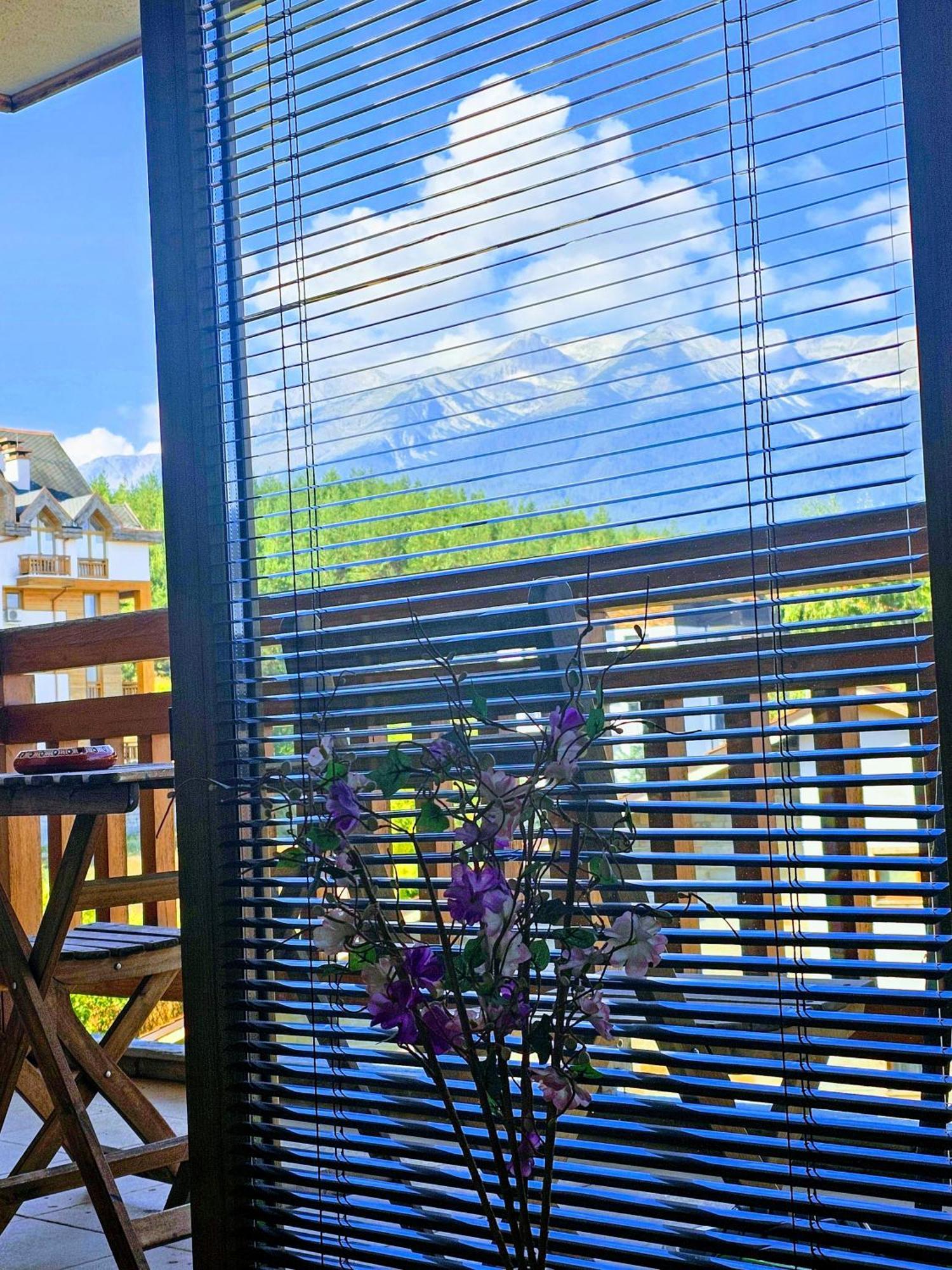 Emerald Buddha Apartment Bansko Extérieur photo