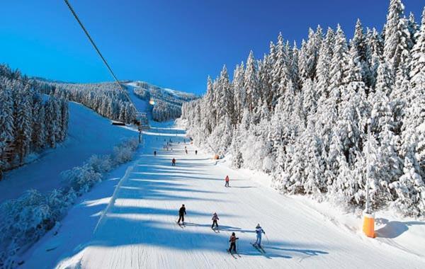 Emerald Buddha Apartment Bansko Extérieur photo
